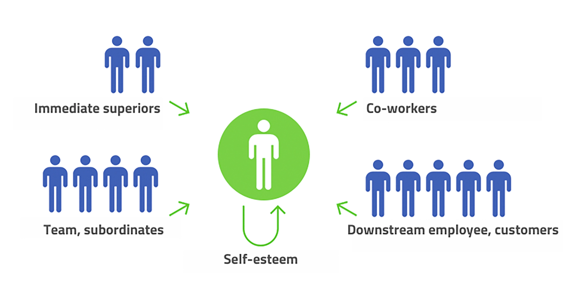 360 Degree Feedback: System, Examples, and Questions